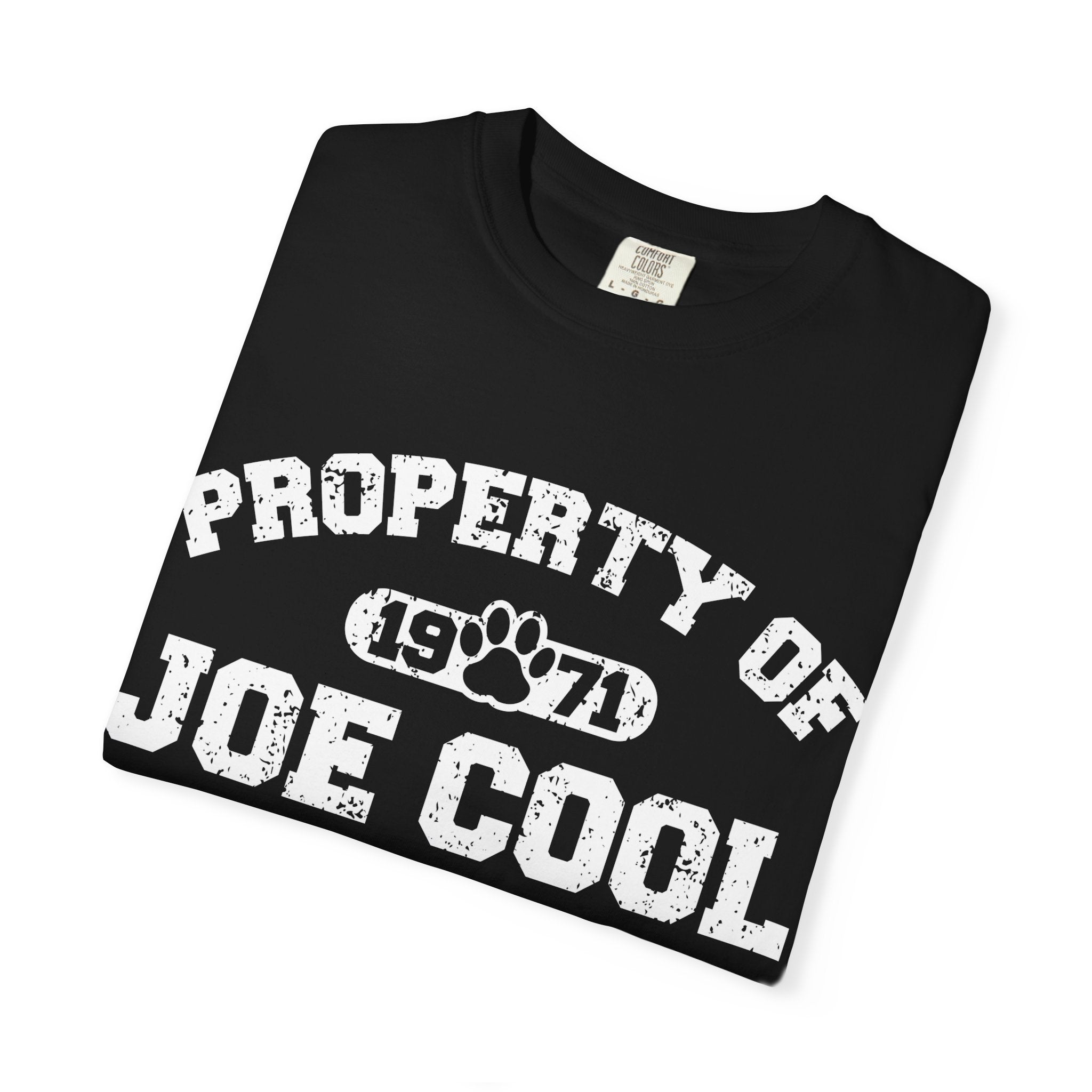 Vintage College T-Shirt,  Retro Graphic Tee