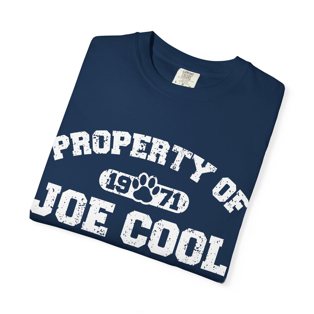 Vintage Classic College T-Shirt, Unisex Tee, Property of Retro Graphic Tee