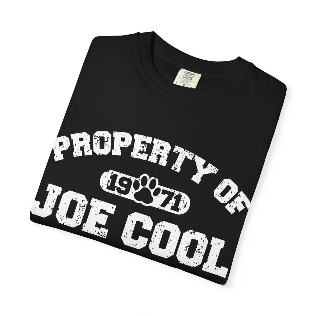 Vintage Classic College T-Shirt, Unisex Tee, Property of Retro Graphic Tee