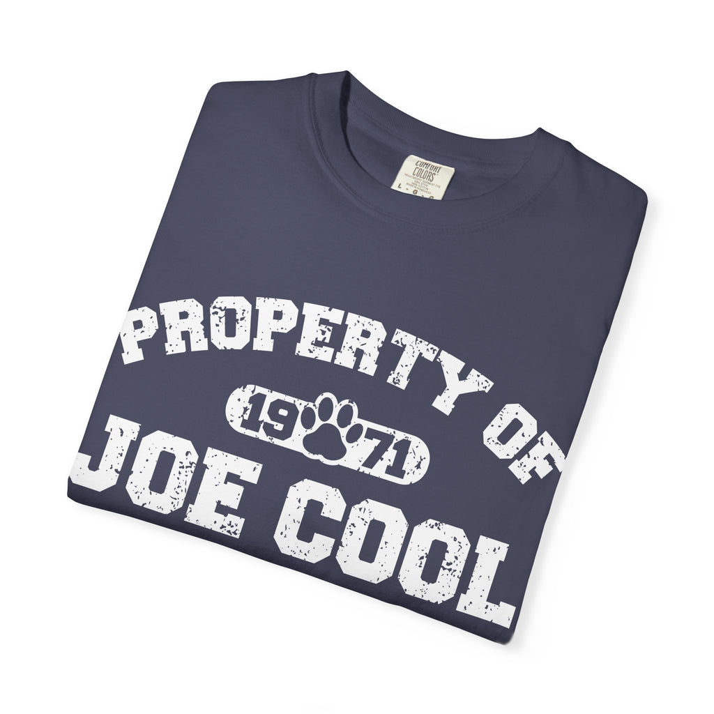 Vintage Classic College T-Shirt, Unisex Tee, Property of Retro Graphic Tee