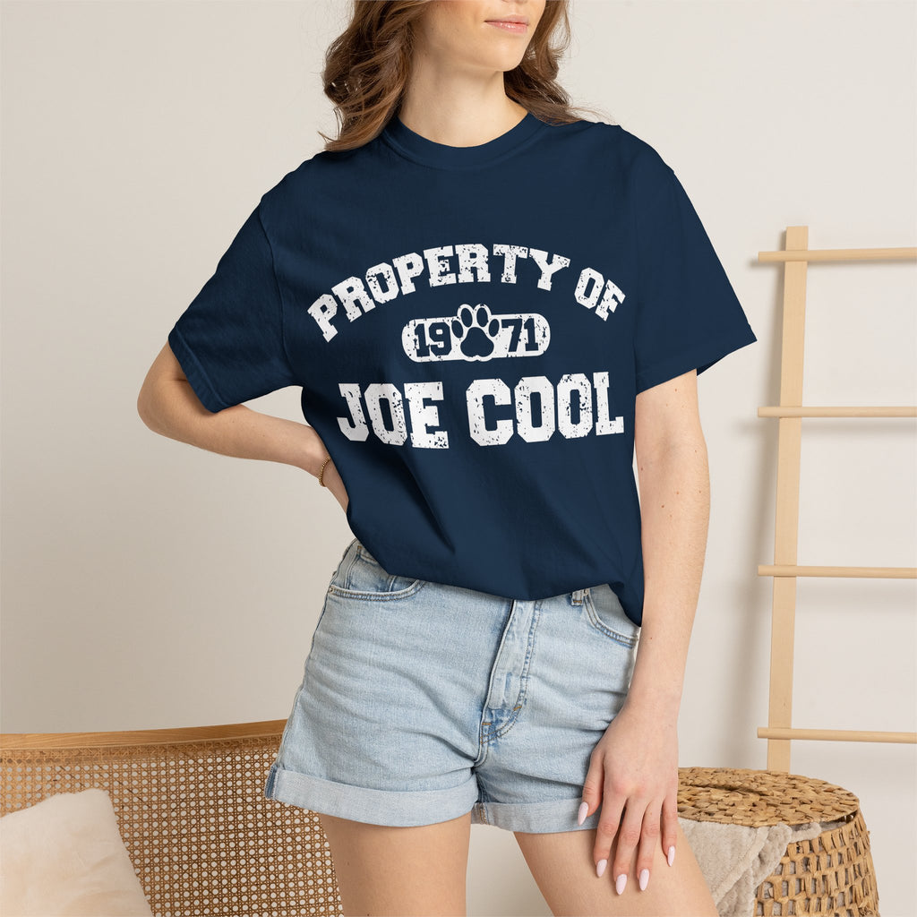 Vintage College T-Shirt,  Retro Graphic Tee