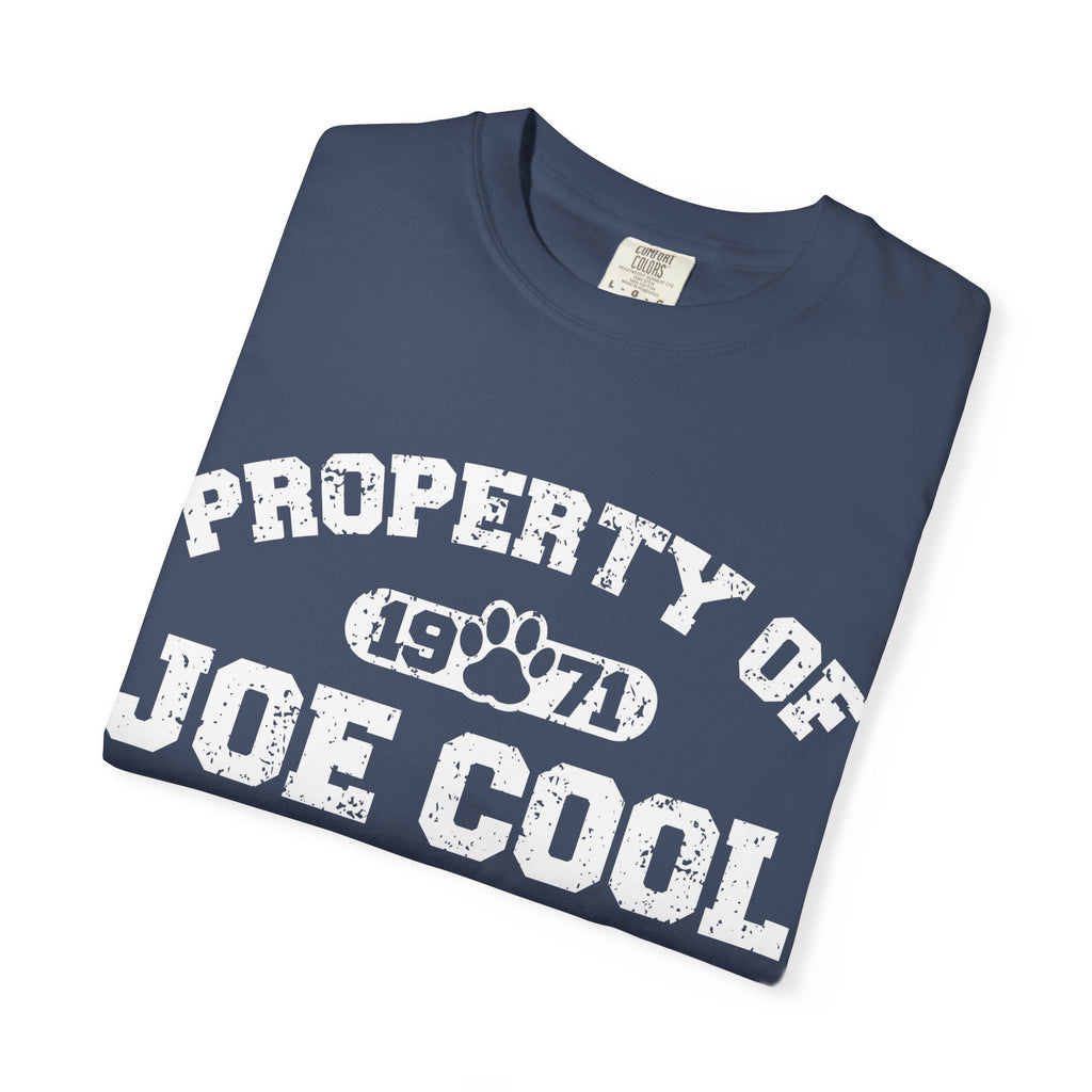 Vintage Classic College T-Shirt, Unisex Tee, Property of Retro Graphic Tee