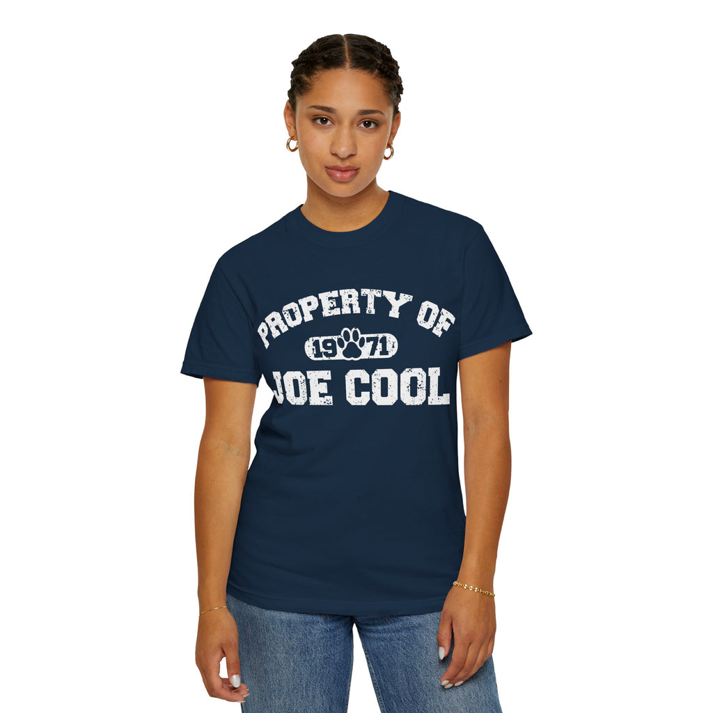 Vintage College T-Shirt,  Retro Graphic Tee